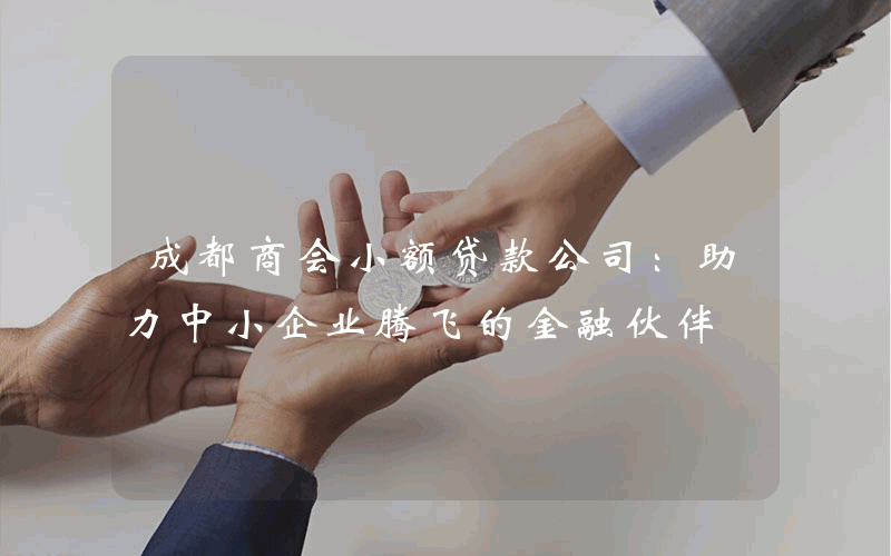 成都商会小额贷款公司：助力中小企业腾飞的金融伙伴